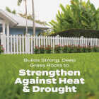 Scotts Turf Builder Bonus S Southern Weed & Feed 33.39 Lb. 10,000 Sq. Ft. Weed Killer Plus Lawn Fertilizer Image 7