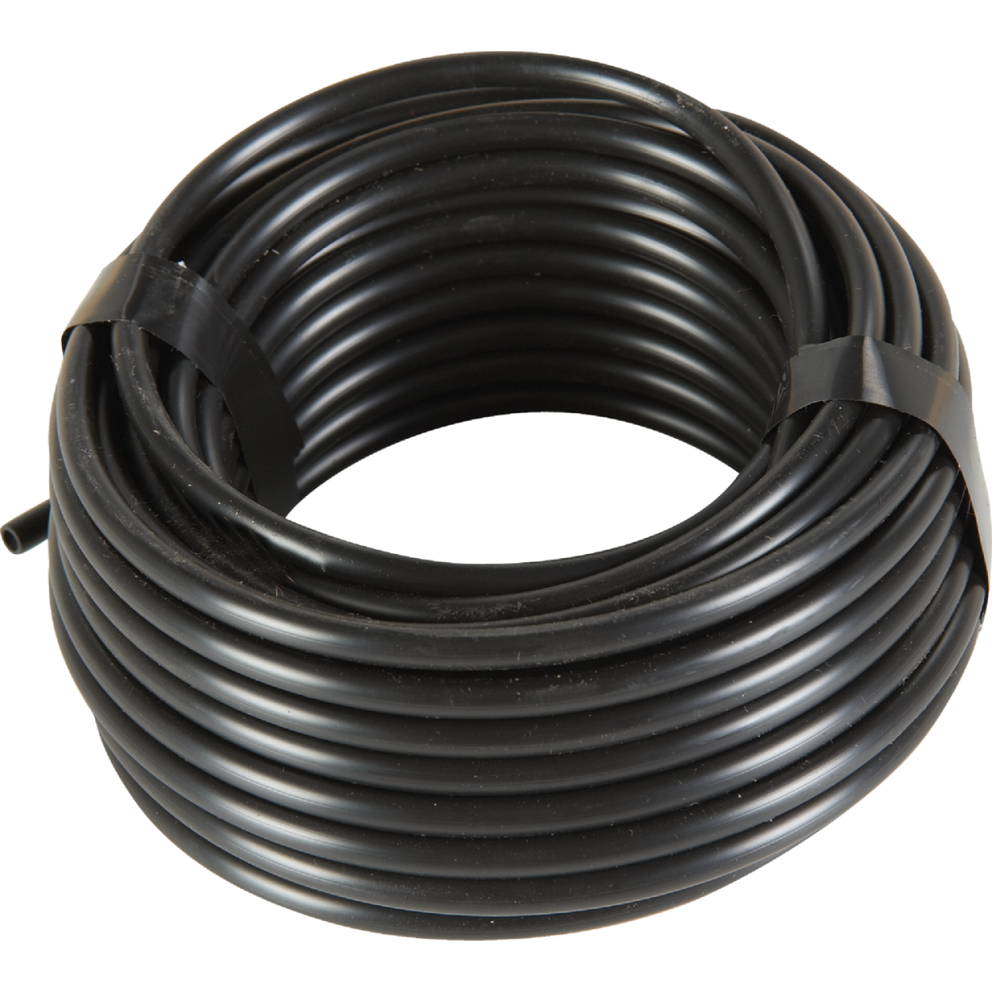 Raindrip 1/4 In. X 50 Ft. Black Poly Primary Drip Tubing Image 1
