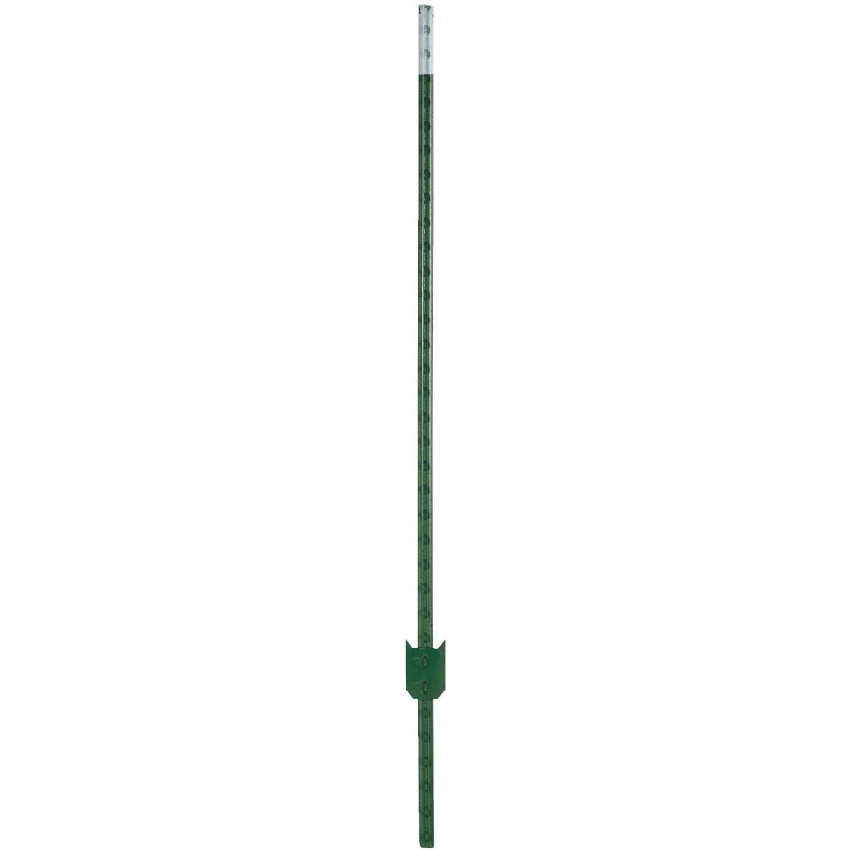 6-1/2' 1.25 PAINT T-POST Image 1