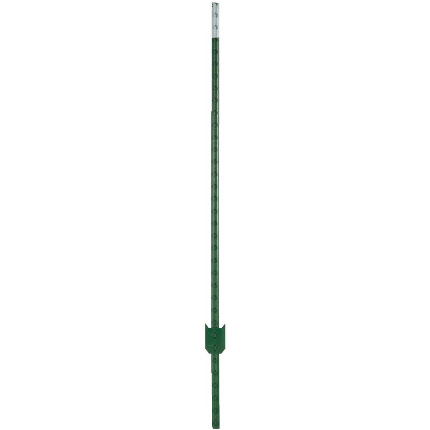 6-1/2' 1.25 PAINT T-POST Image 1
