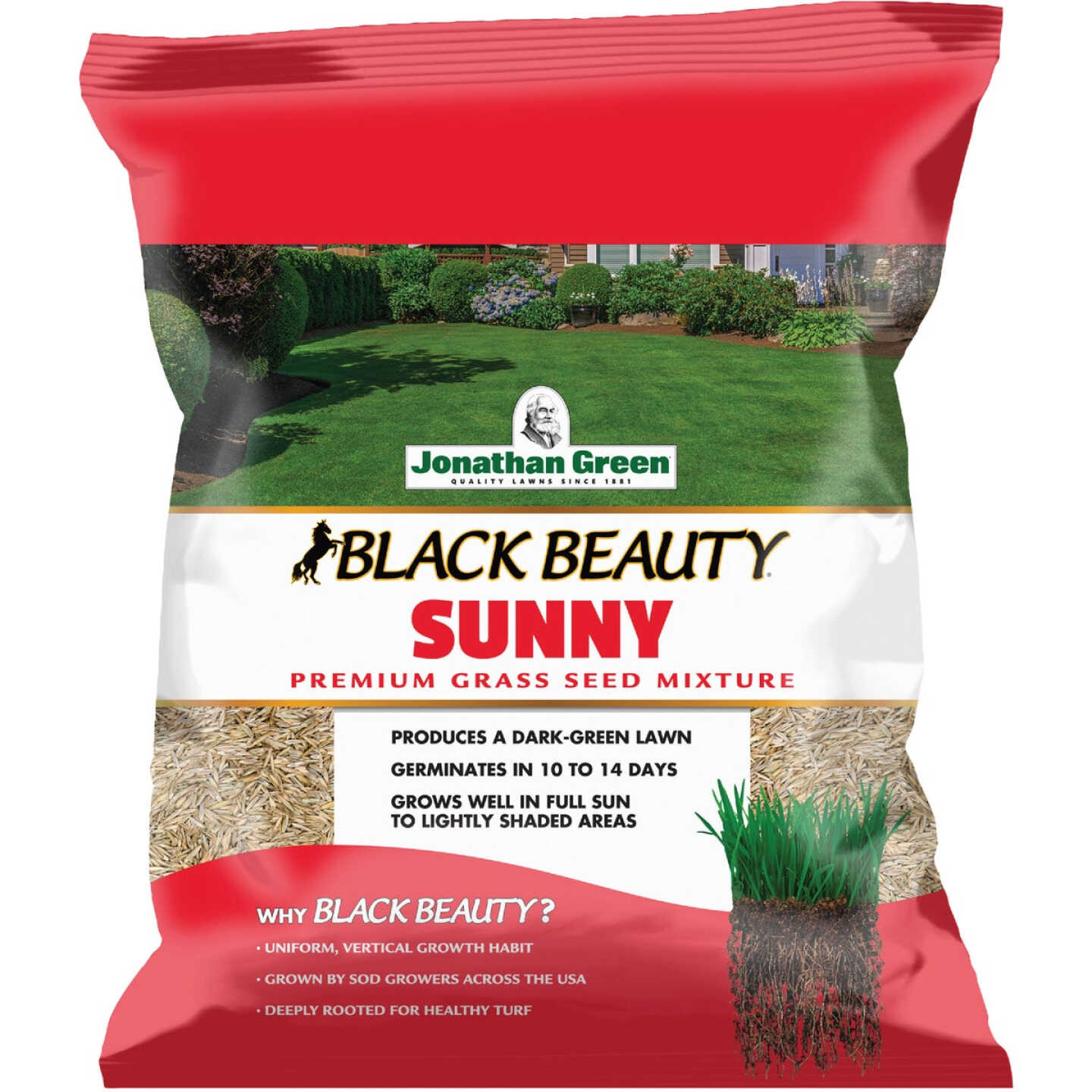 Jonathan Green Black Beauty 3 Lb. 1275 Sq. Ft. Coverage Full Sun Grass Seed Image 1
