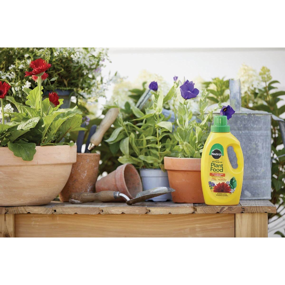 Miracle-Gro 32 Oz. Liquid All Purpose Plant Food Image 2