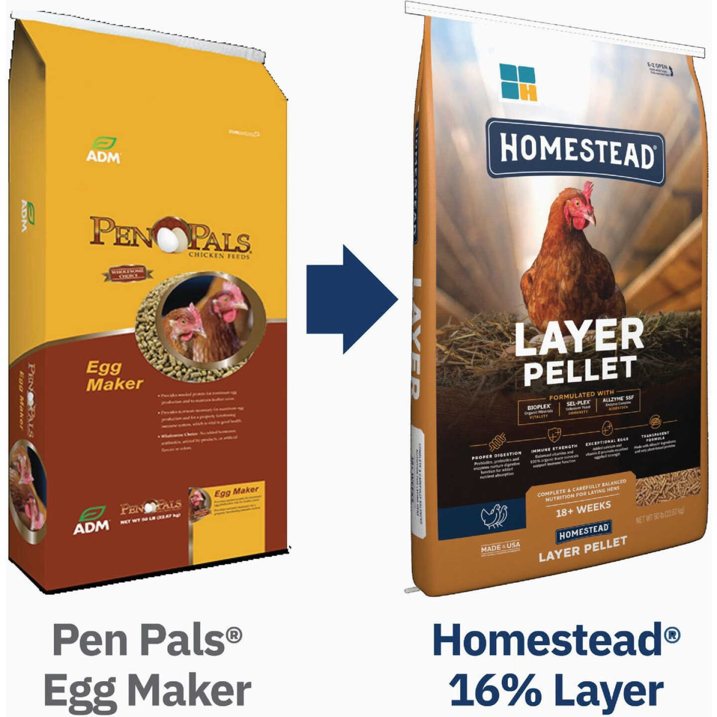 Hubbard Homestead 50 Lb. 16% Layer Chicken Feed Pellets Image 3
