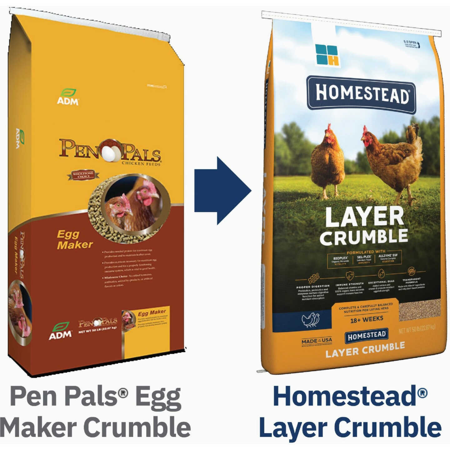 ADM Pen Pals 50 Lb. Egg Maker Chicken Feed Crumble Image 2