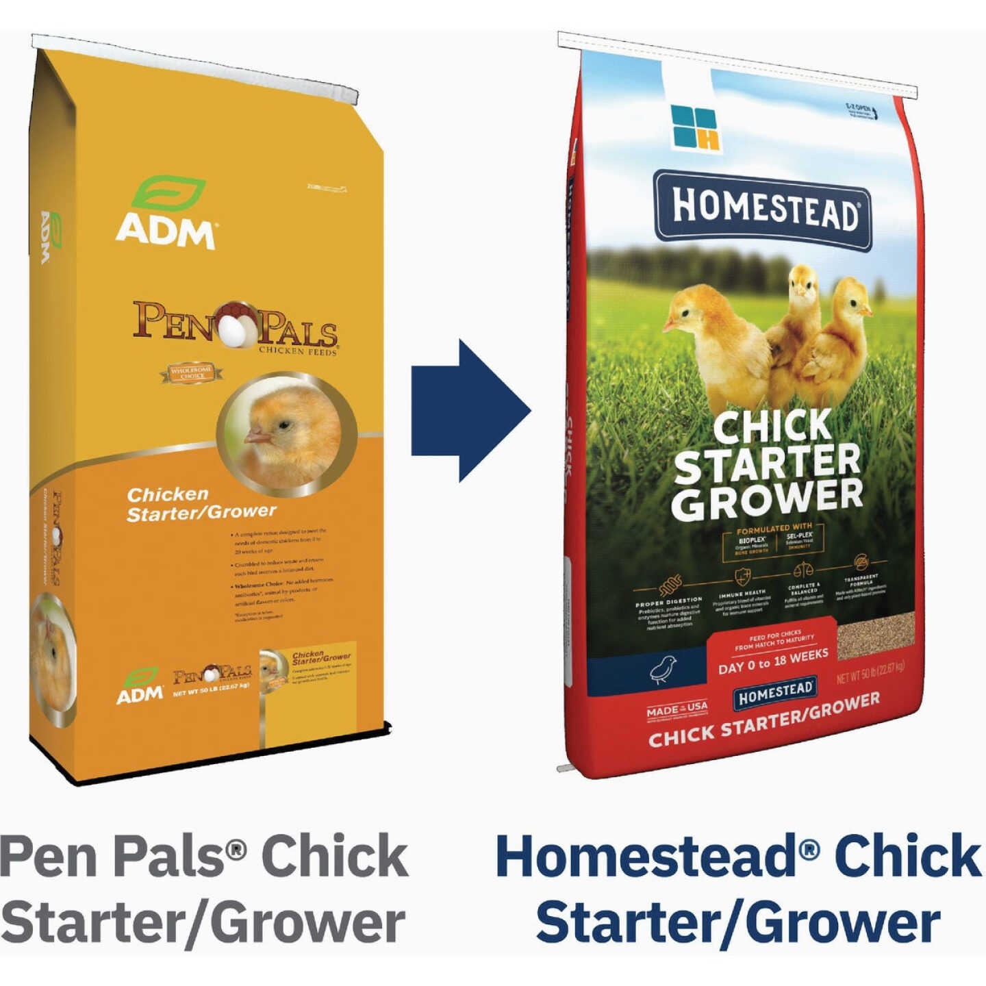 ADM Pen Pals 50 Lb. Medicated Chicken Starter/Grower Chicken Feed Image 2