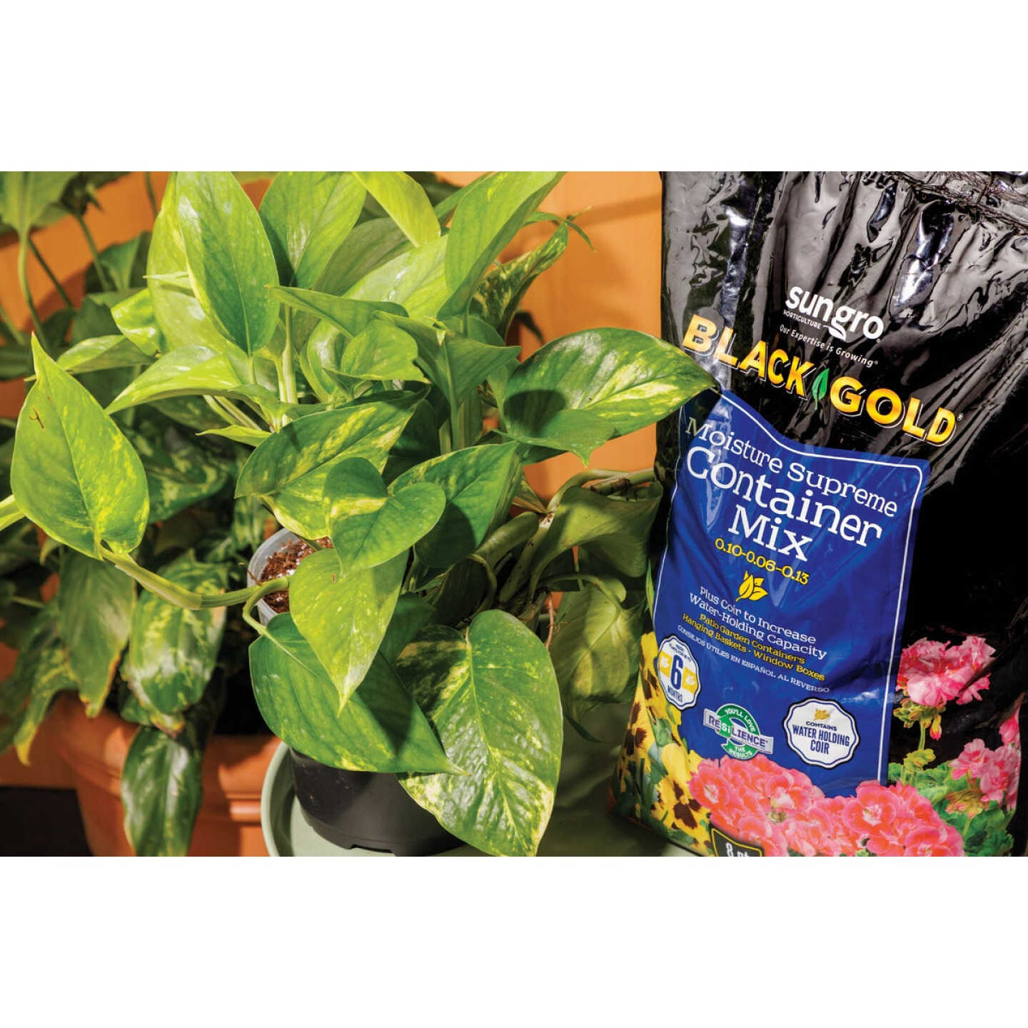 Black Gold Moisture Supreme 8 Qt. 6 Lb. Container Potting Soil Mix Image 2