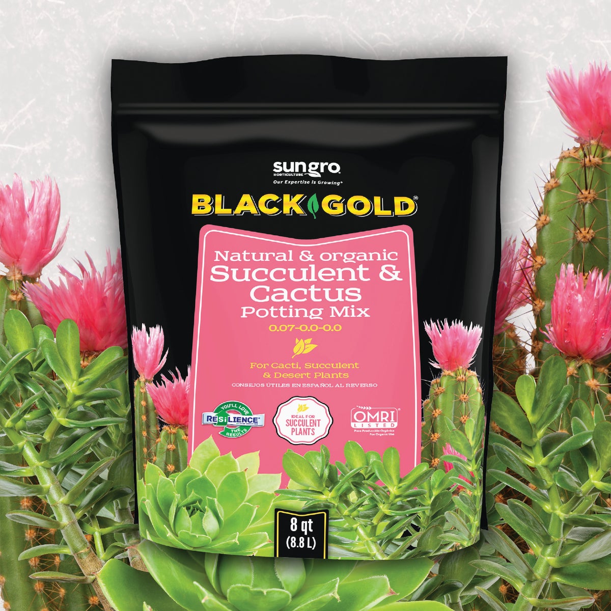 Black Gold 8 Qt. 8.3 Lb. Fast Draining Cactus Mix Potting Soil Mix Image 2
