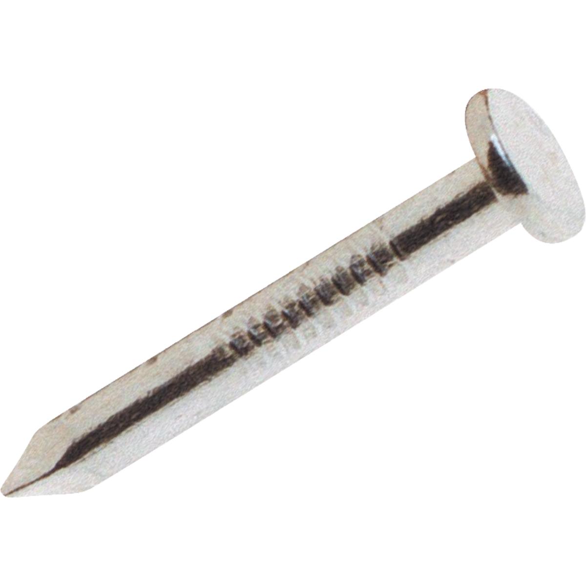 50LB 1-1/2" JOIST NAIL