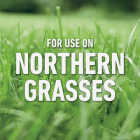 Roundup For Lawns 32 Oz. Concentrate Northern Formula Weed Killer Image 4