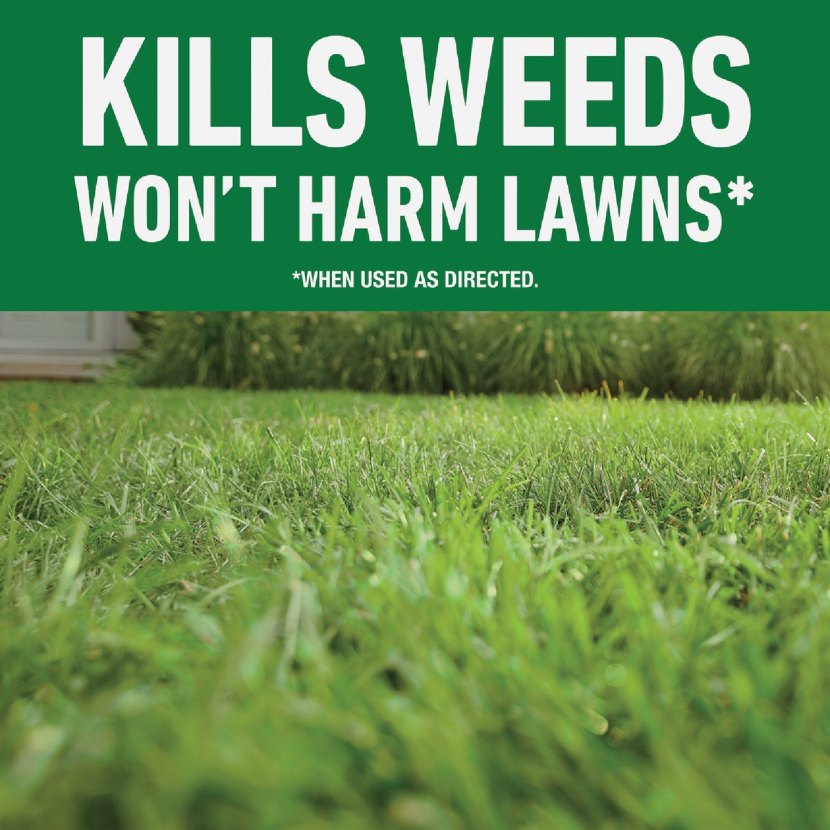 Roundup For Lawns 1 Gal. Ready To Use Wand Sprayer Northern Formula Weed Killer Image 2