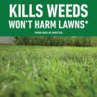 Roundup For Lawns 1 Gal. Ready To Use Wand Sprayer Northern Formula Weed Killer Image 2