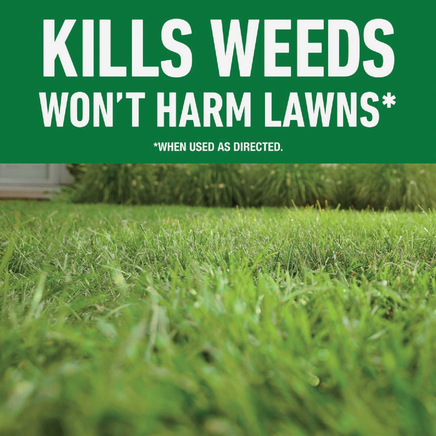 Roundup For Lawns 1 Gal. Ready To Use Wand Sprayer Northern Formula Weed Killer Image 2