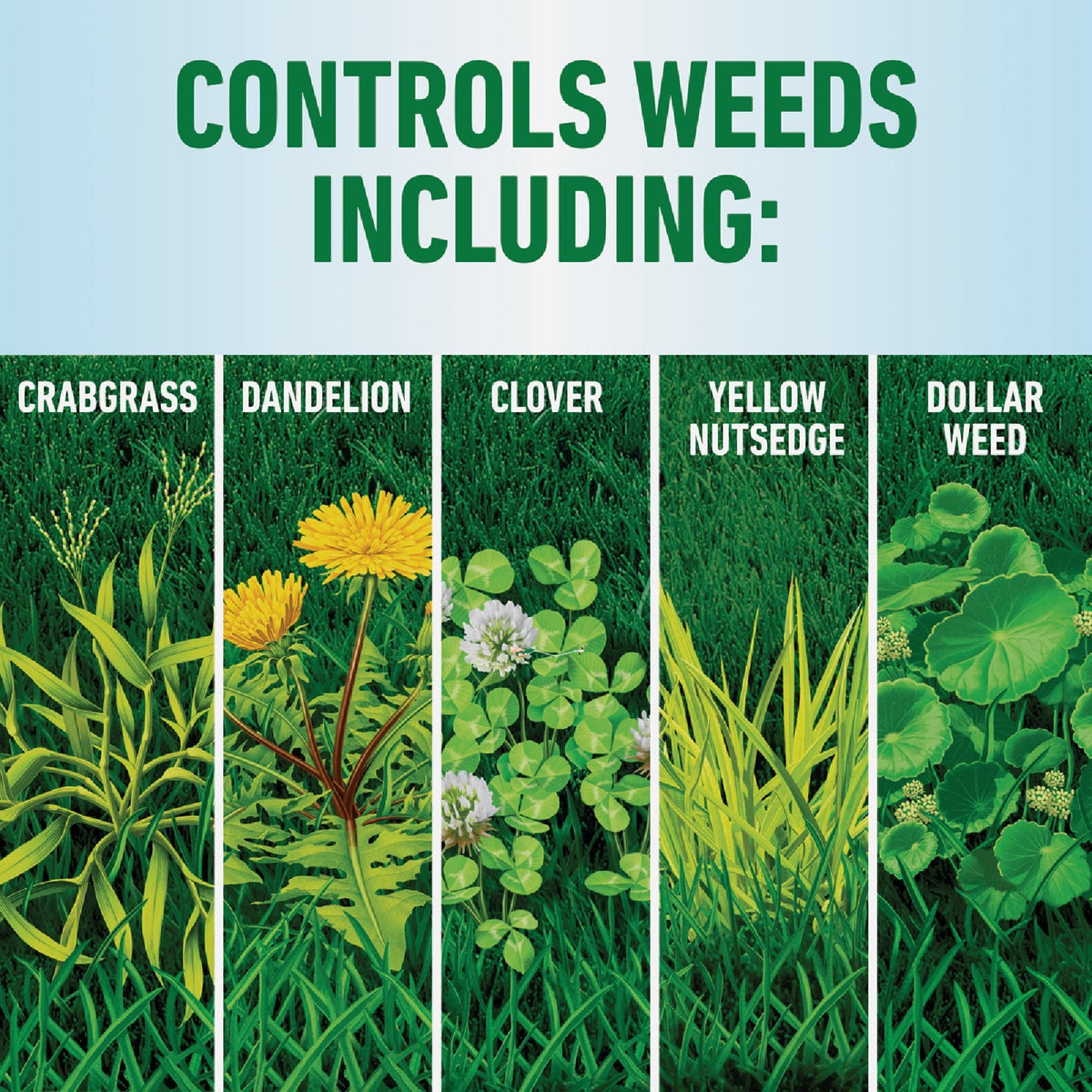 Roundup For Lawns 1.25 Gal. Refill Northern Formula Weed Killer Image 5
