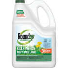 Roundup For Lawns 1.25 Gal. Refill Northern Formula Weed Killer Image 1