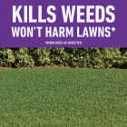 Roundup For Lawns 32 Oz. Concentrate Southern Formula Weed Killer Image 2