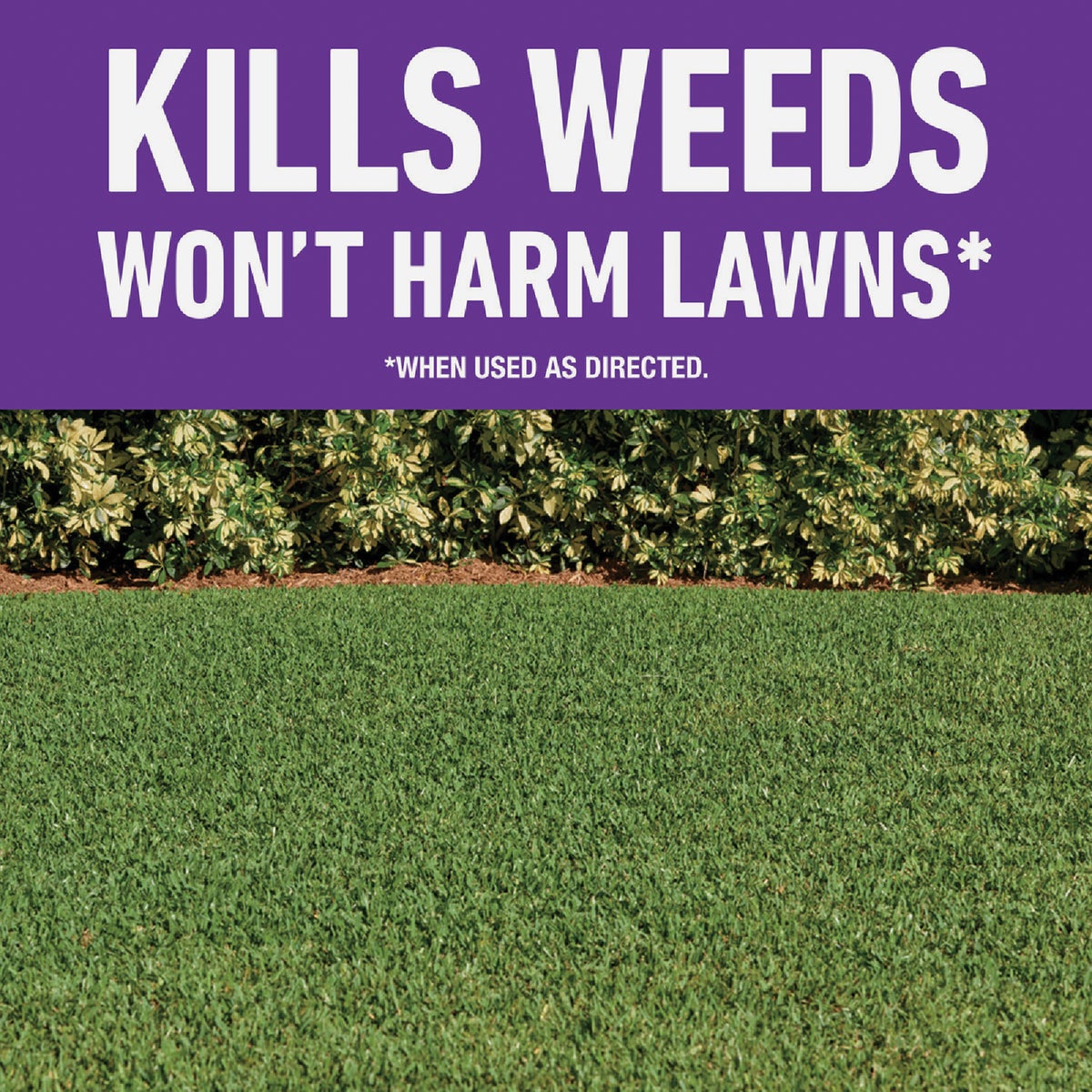 Roundup For Lawns 32 Oz. Spray Southern Formula Weed Killer Image 2