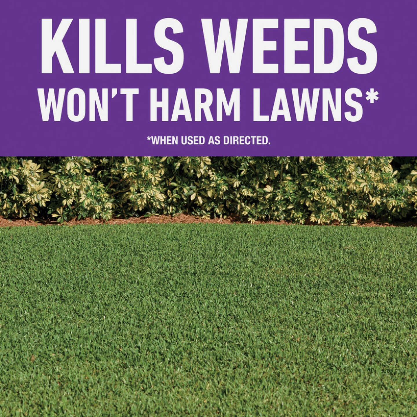 Roundup For Lawns 32 Oz. Spray Southern Formula Weed Killer Image 2
