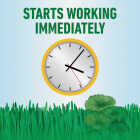 Roundup For Lawns 1 Gal. Ready To Use Wand Sprayer Southern Formula Weed Killer Image 7