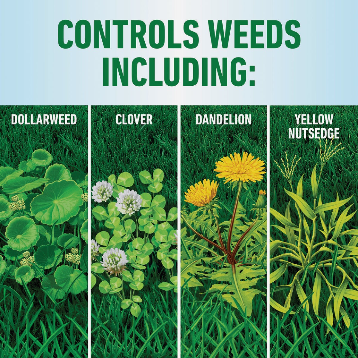 Roundup For Lawns 1 Gal. Ready To Use Wand Sprayer Southern Formula Weed Killer Image 4
