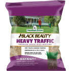 Jonathan Green Black Beauty Heavy Traffic 3 Lb. 600 Sq. Ft. Coverage Grass Seed Image 1