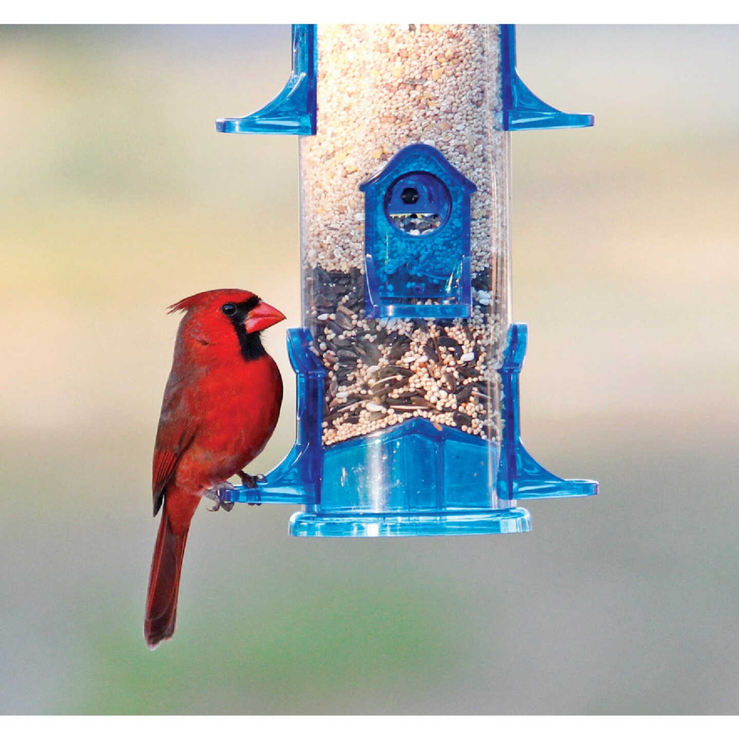 Stokes Select Blue Plastic 3.2 Lb. Capacity Jumbo Tube Bird Feeder Image 2