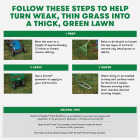 Scotts Turf Builder Thick'R Lawn 12 Lb. 1200 Sq. Ft. Tall Fescue Mix Grass Seed, Fertilizer, and Soil Improver Combination Image 3