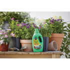 Miracle-Gro Pour & Feed 32 Oz. Liquid Plant Food Image 2