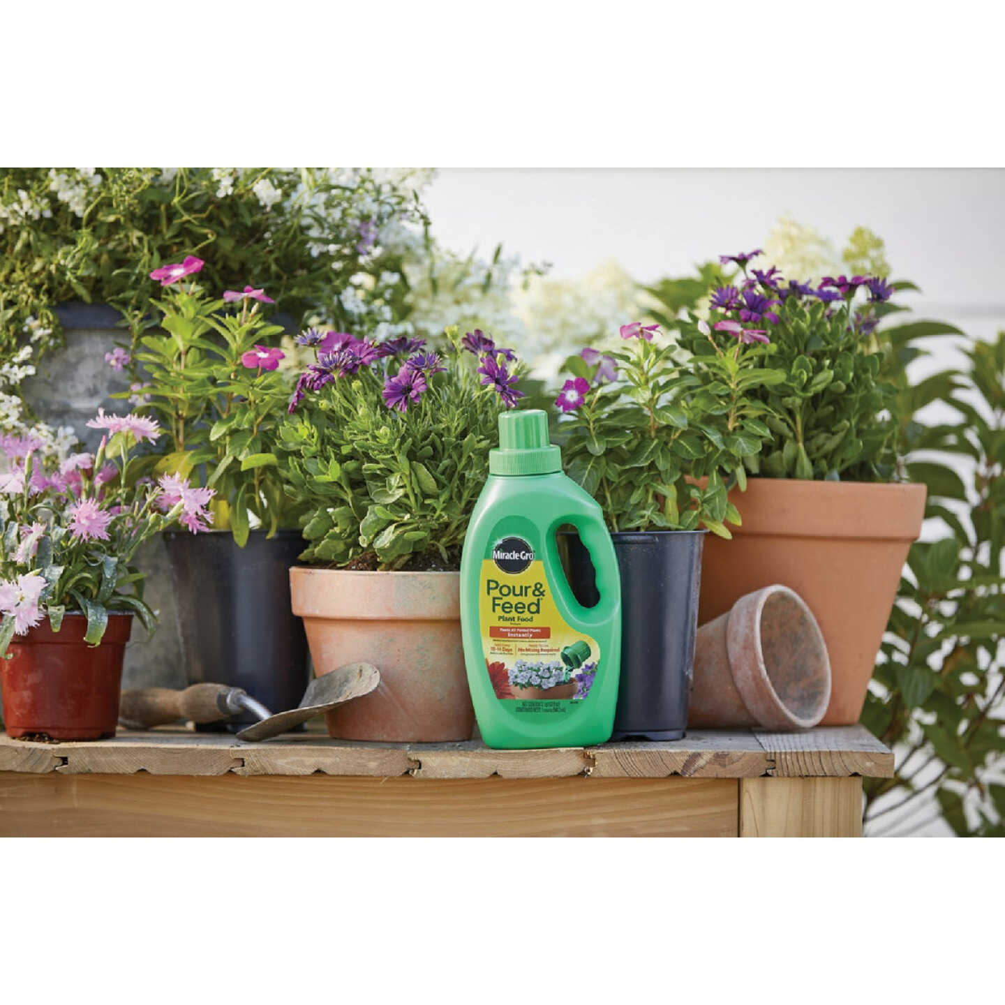 Miracle-Gro Pour & Feed 32 Oz. Liquid Plant Food Image 2
