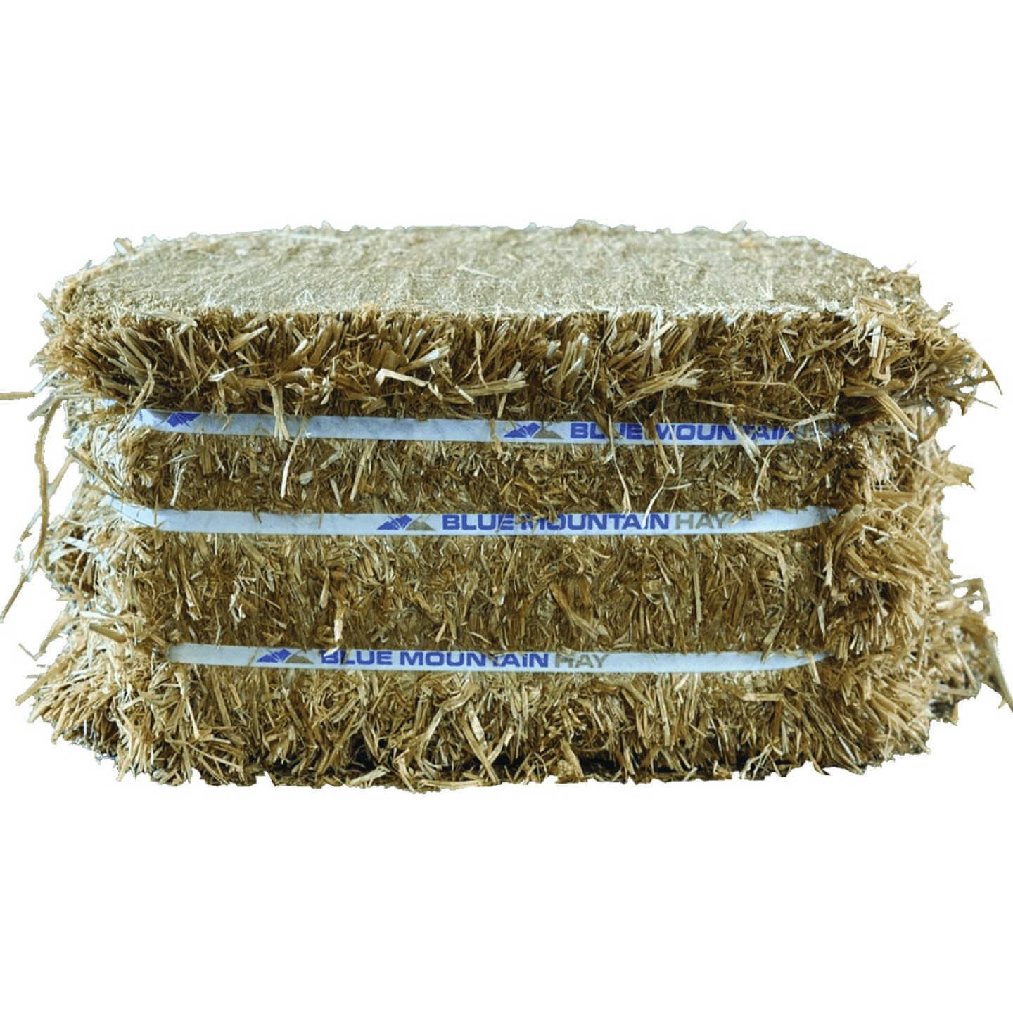Blue Mountain Hay 50 Lb. Compressed Wheat Straw Bale Image 1