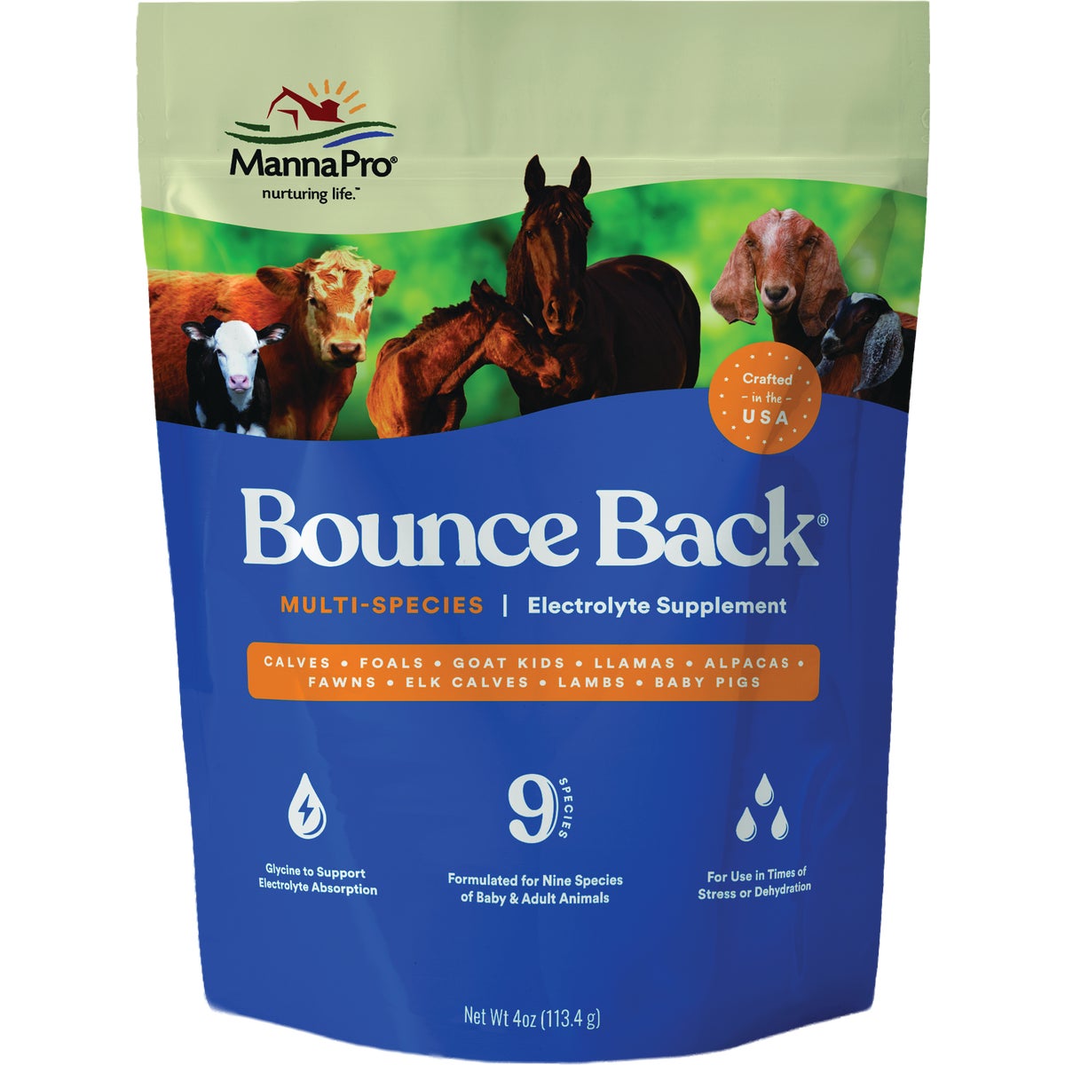 Manna Pro Bounce Back 4 Oz. Multi-Species Electrolyte Supplement