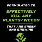 Ortho GroundClear 24 Oz. Trigger Spray Weed & Grass Killer Image 3