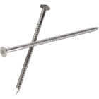 Simpson Strong-Tie 16d x 3-1/2 In. 9 ga Stainless Steel Common Deck Nails (220-Count, 5 Lb.) Image 1