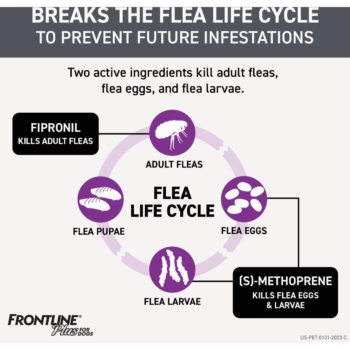 Frontline Plus Flea & Tick Killer For Small Dogs & Puppies 5 to 22 Lb. (3-Pack) Image 2