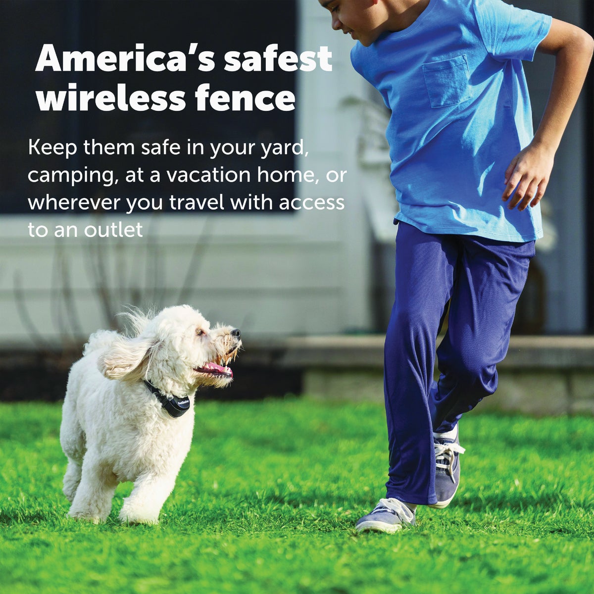 PetSafe Stay & Play Wireless Fence with Replaceable Battery Collar Image 5
