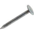 Do it 7/8 In. 11 ga Electrogalvanized Roofing Nails (306-Count, 1 Lb.) Image 1