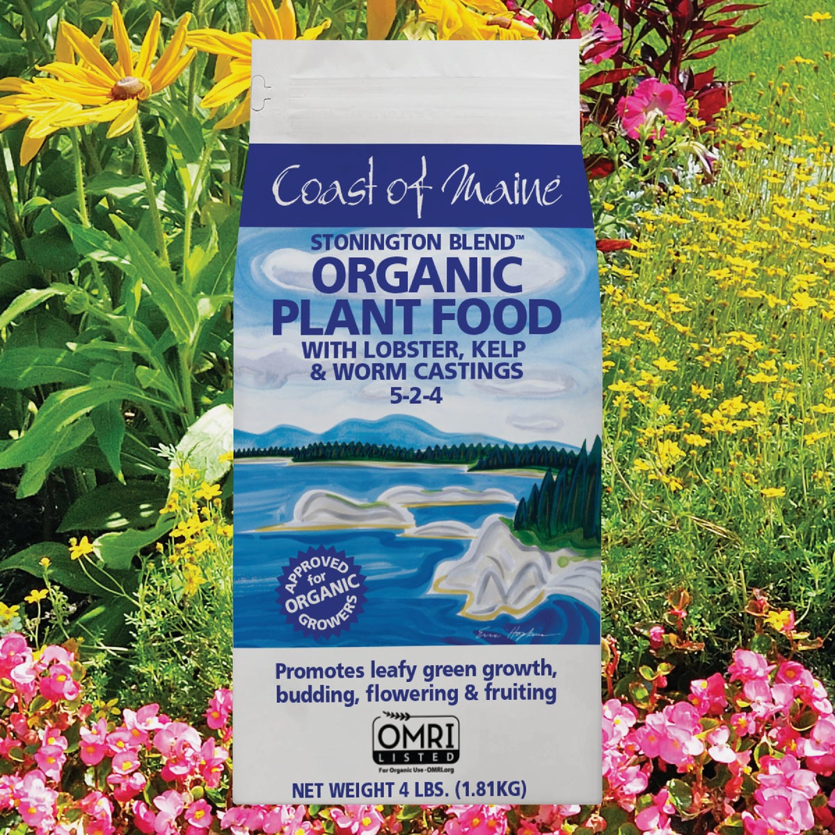 Coast of Maine Stonington Blend 4 Lb. 5-2-4 Organic Plant Food Image 2