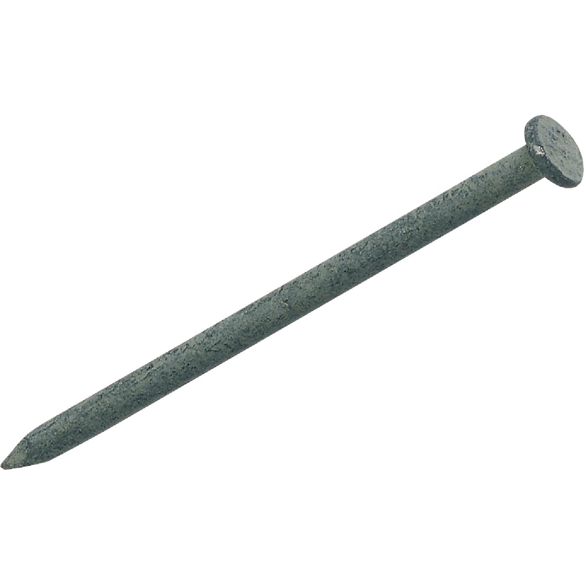 Do it Best 3 In. x 9 ga x 10d Hot Galvanized Common Nails (3300-Count, 50 Lb.) Image 1