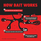Amdro 1.28 Oz. Solid Ant Bait Stake (8-Pack) Image 6