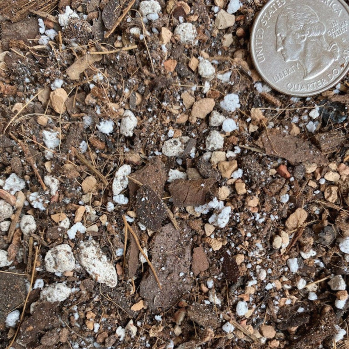 Sol Soils 2 Qt. Houseplant Chunky Mix Image 6