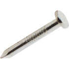 Do it 1-1/2 In. 9 ga Hot Galvanized Joist Nails (120-Count, 1 lb) Image 2