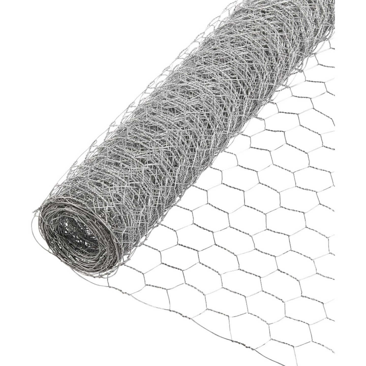 Agway 1 In. x 2 Ft. x 25 Ft. 20-Gauge Black Poultry Netting Image 1