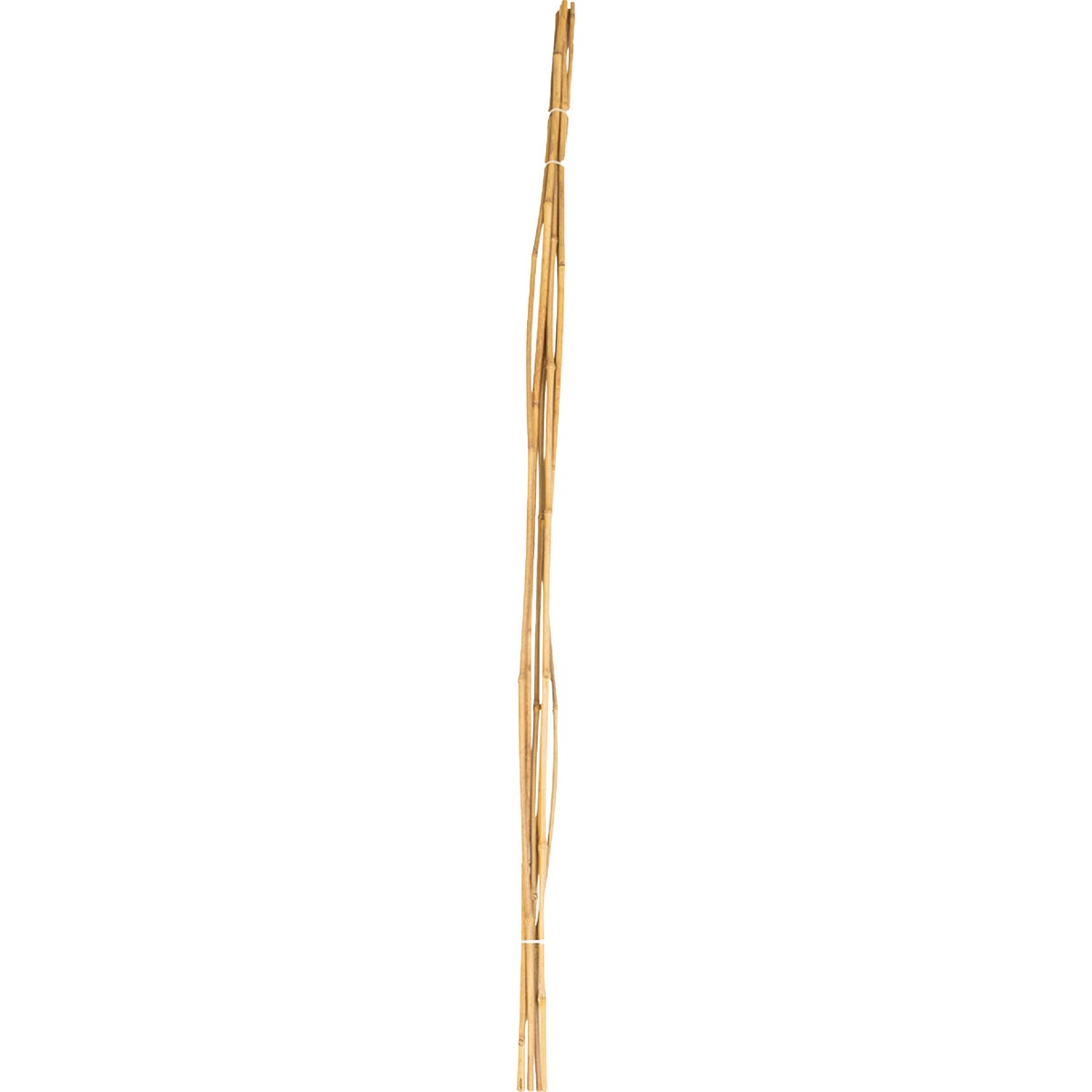 Green Thumb 6 Ft. Bamboo Stake (6-Pack)