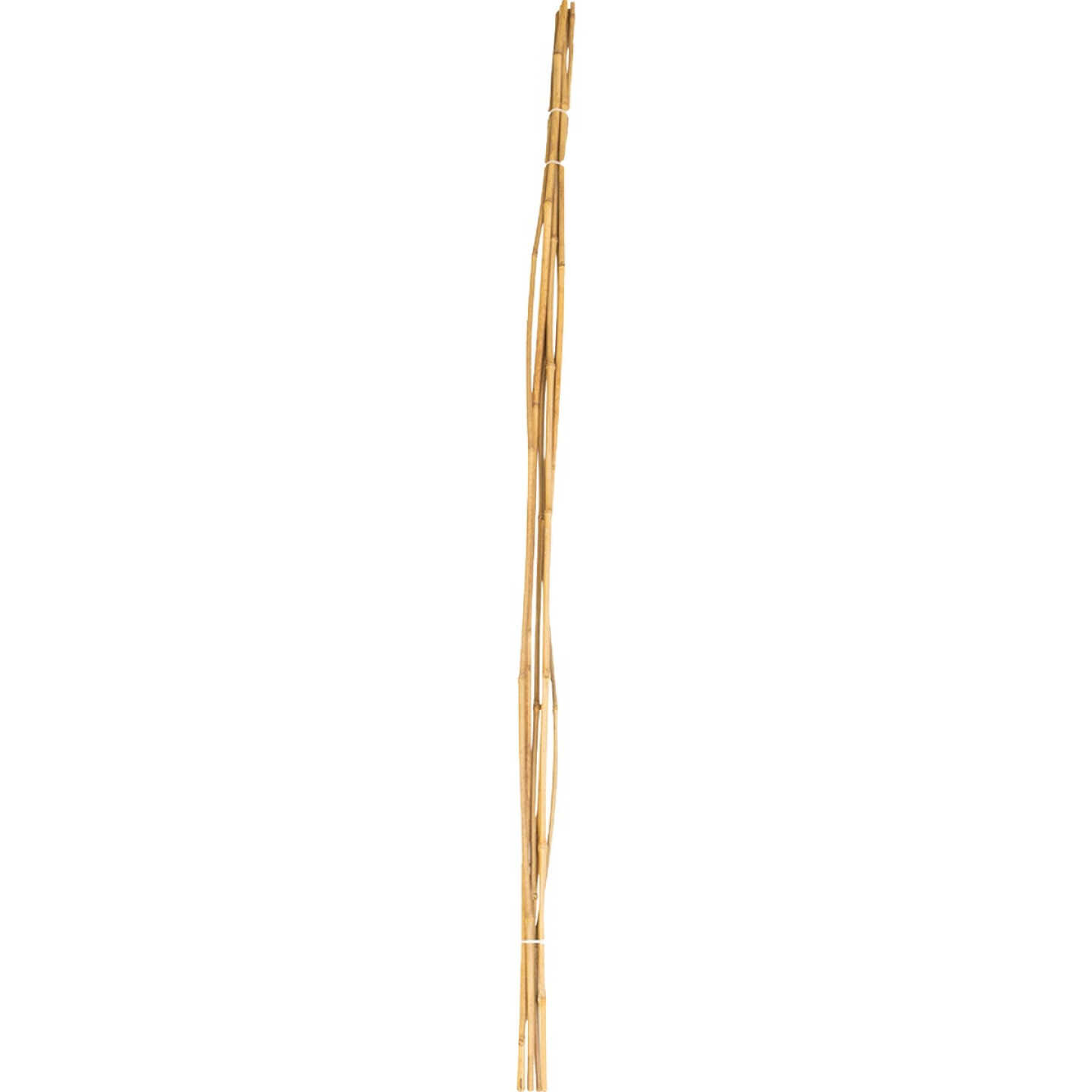 Green Thumb 6 Ft. Bamboo Stake (6-Pack) Image 1
