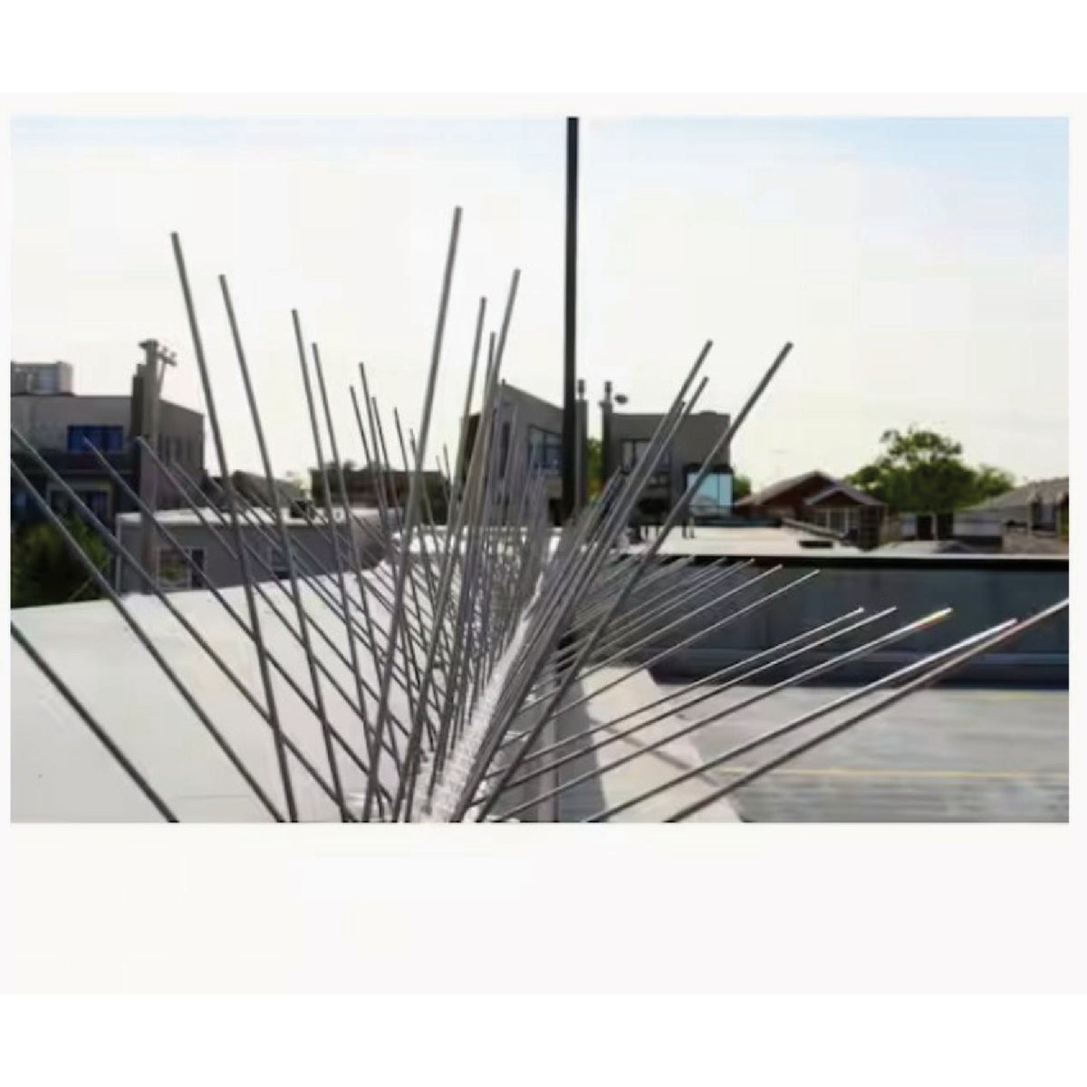 Bird-B-Gone 5 In. x 6 Ft. Stainless Steel Bird Repelling Spikes Image 2