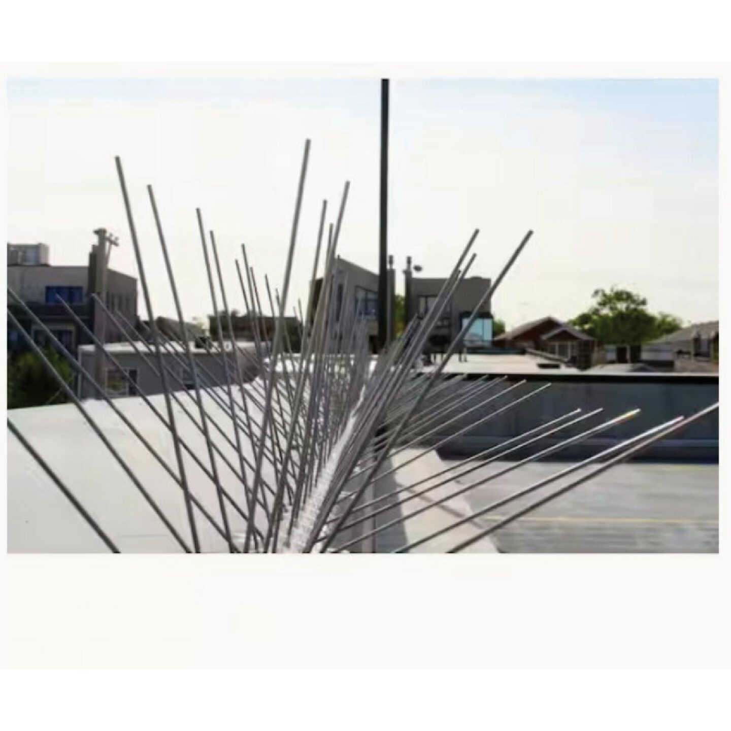 Bird-B-Gone 5 In. x 6 Ft. Stainless Steel Bird Repelling Spikes Image 2