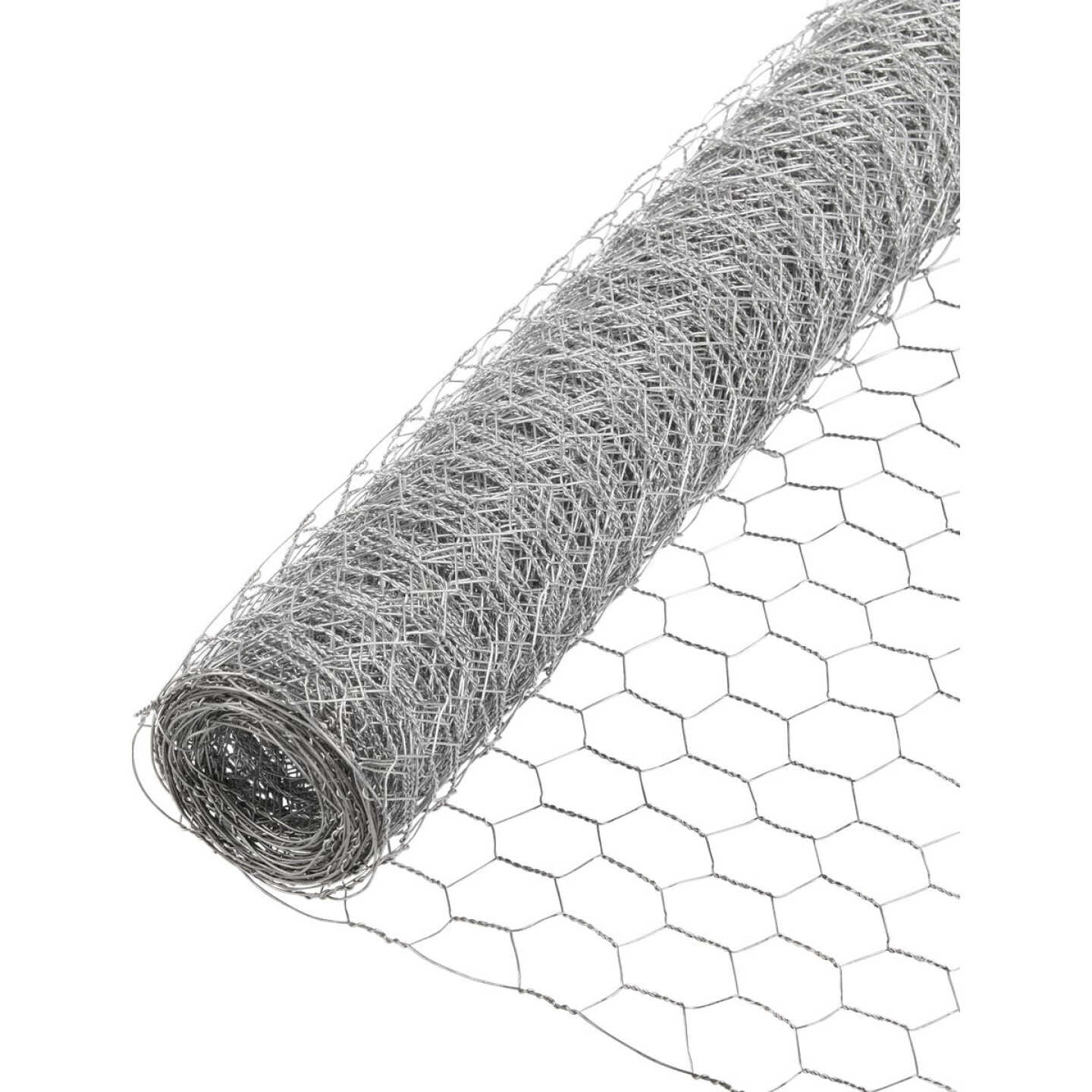 Agway 1.5 Ft. x 50 Ft. 20-Gauge Poultry Netting Image 1