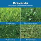 Scotts Turf Builder 40.05 Lb. 15,000 Sq. Ft. Halts Crabgrass Preventer with Lawn Food Image 3