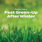 Scotts Turf Builder 40.05 Lb. 15,000 Sq. Ft. Halts Crabgrass Preventer with Lawn Food Image 4