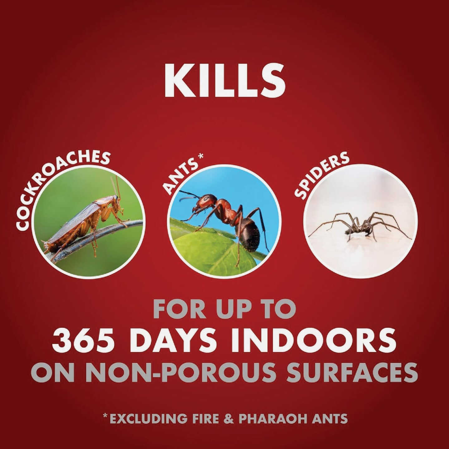 Spectracide One-Shot Home Insect Control 1 Gal. Ready To Use Insecticide With AccuShot Sprayer Image 3
