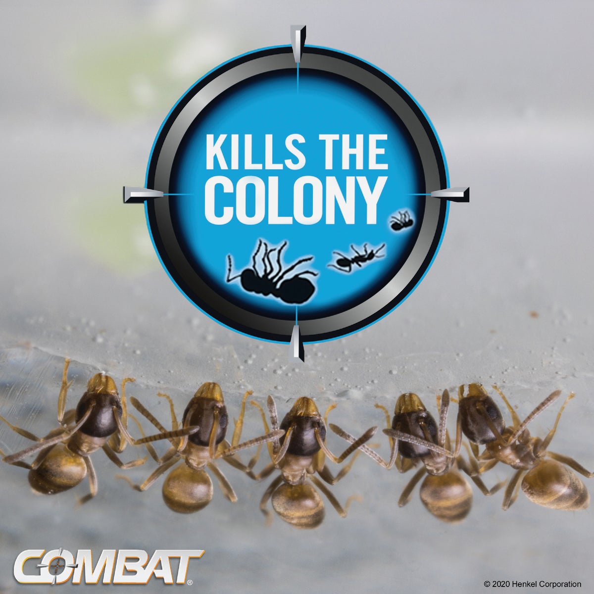 Combat Source Kill Max 0.21 Oz. Solid Ant Bait Station (6-Pack) Image 3